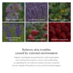 Dr.althea Premium Rosa Modeling Mask Set (25g*5ea) - Image 7