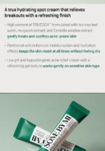 AHA, BHA, PHA 14 Days Super Miracle Spot All Kill Cream - Image 4