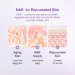 No.9 NAD Bio Lifting-sil Essence 50ml - Image 6