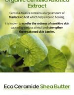 Deep Calming Cream (x50) (Bulk Box) - Image 2