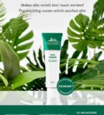 Cica Cream - Image 2