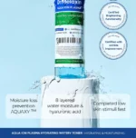 Aqua Ion Plasma Water Toner - Image 3