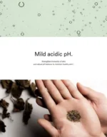 Mild Acidic pH Sheet Mask - 6 Types (x10) (Bulk Box) - Image 5