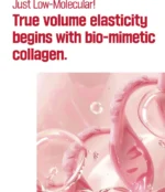Camellia Deep Collagen Firming Ampoule - Image 4
