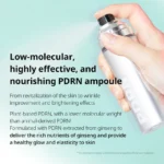PDRN Glow Ampoule (x54) (Bulk Box) - Image 4
