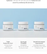 1025 Dokdo Cream - Image 2