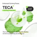 Heartleaf TECA Capsule Serum Calming Drop - Image 3