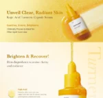 Kojic Acid Turmeric Niacinamide Serum - Image 3