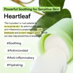 Heartleaf Spot Pad Calming Touch - Image 5
