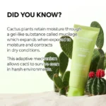 Cactox Pore Relief Gel Cleanser - Image 3