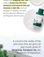 Pine Calming Cica Ampoule (x60) (Bulk Box) - Image 3