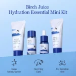 Birch Juice Trial Kit (x20) (Bulk Box) - Image 4